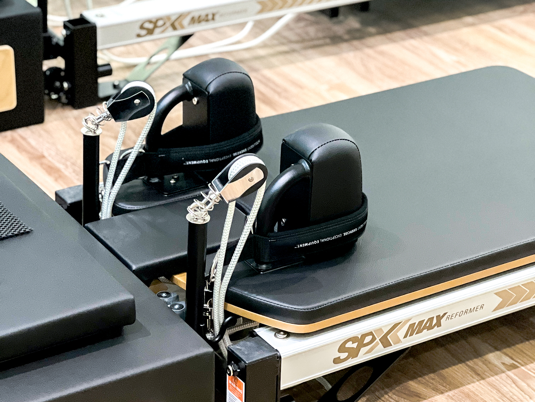 20250203-IMG_9349_1733x1300 20250203-IMG_9349_1733x1300